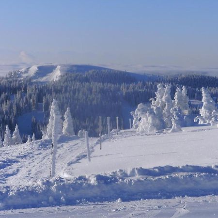 Haus Aretz Διαμέρισμα Feldberg  Εξωτερικό φωτογραφία