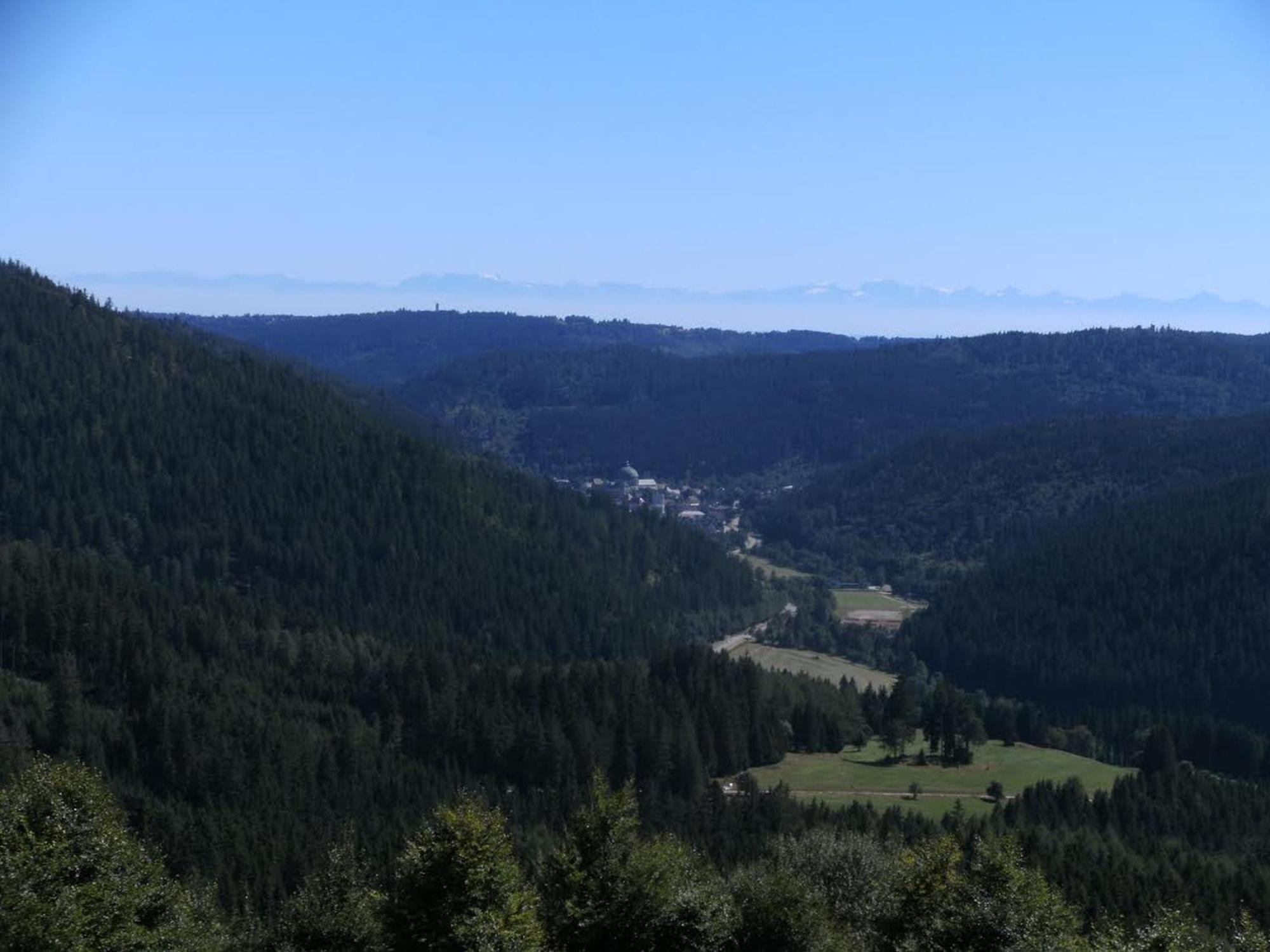 Haus Aretz Διαμέρισμα Feldberg  Εξωτερικό φωτογραφία