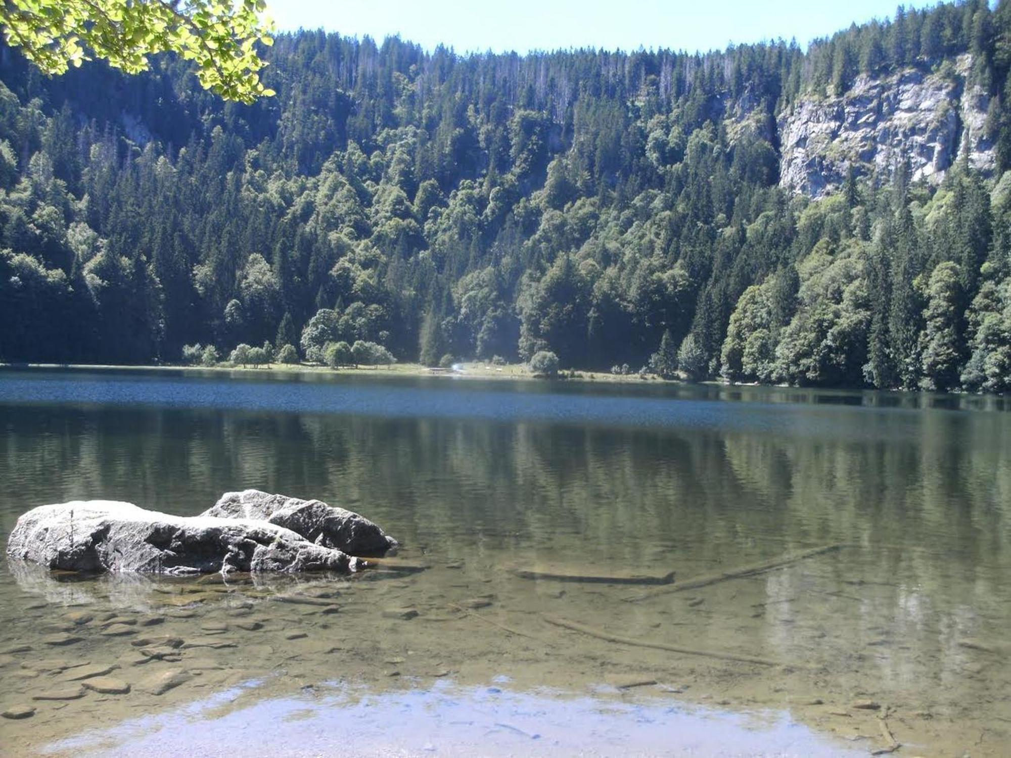 Haus Aretz Διαμέρισμα Feldberg  Εξωτερικό φωτογραφία